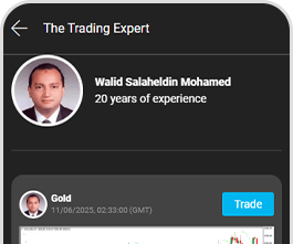 The Trading Expert